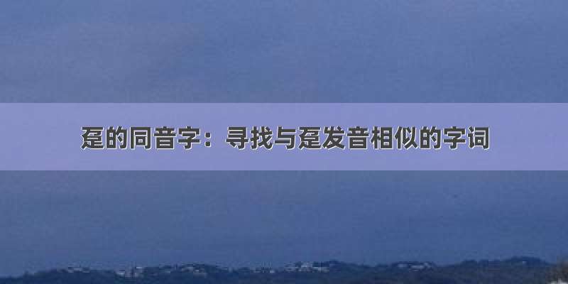 趸的同音字：寻找与趸发音相似的字词