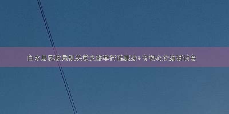 白水县民政局机关党支部举行话廉洁+守初心交流研讨会