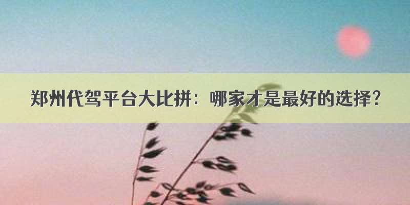 郑州代驾平台大比拼：哪家才是最好的选择？