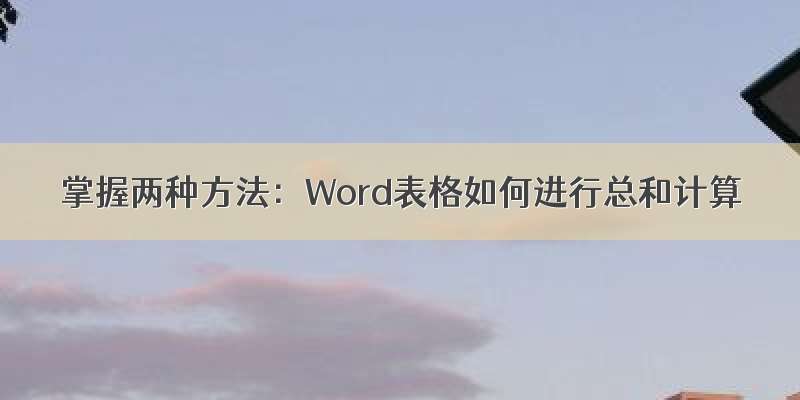 掌握两种方法：Word表格如何进行总和计算