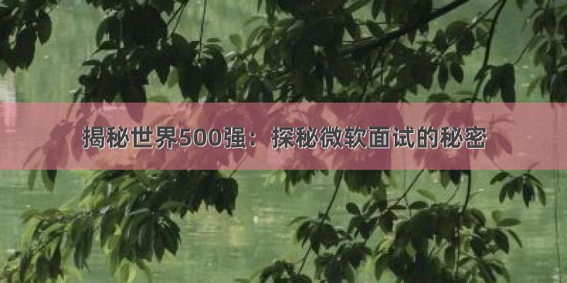 揭秘世界500强：探秘微软面试的秘密