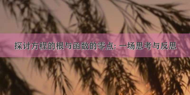 探讨方程的根与函数的零点: 一场思考与反思