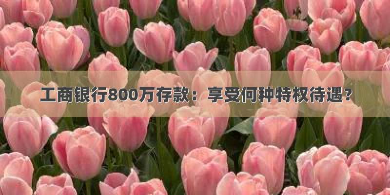 工商银行800万存款：享受何种特权待遇？