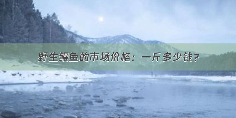 野生鳗鱼的市场价格：一斤多少钱？