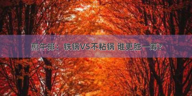 煎牛排：铁锅VS不粘锅 谁更胜一筹？