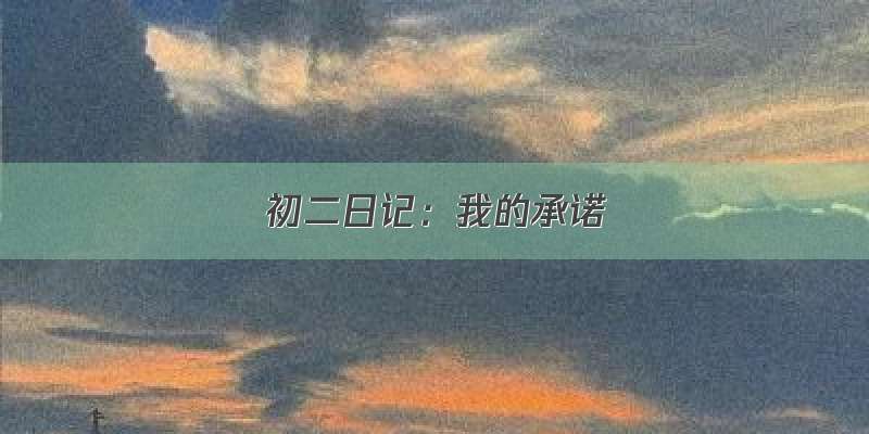 初二日记：我的承诺