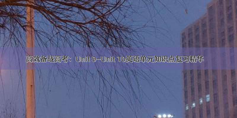 高效备战高考：Unit 9-Unit 10英语单元知识点复习精华