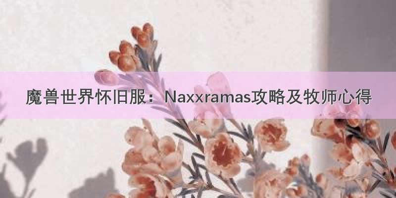 魔兽世界怀旧服：Naxxramas攻略及牧师心得