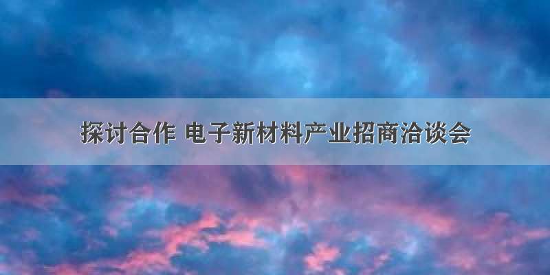 探讨合作 电子新材料产业招商洽谈会