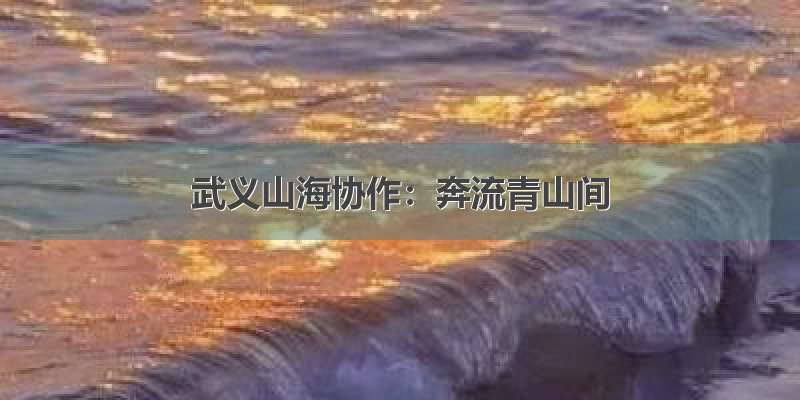 武义山海协作：奔流青山间