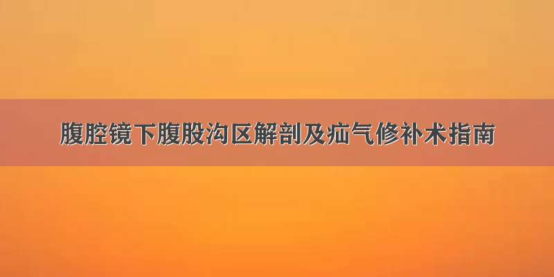 腹腔镜下腹股沟区解剖及疝气修补术指南