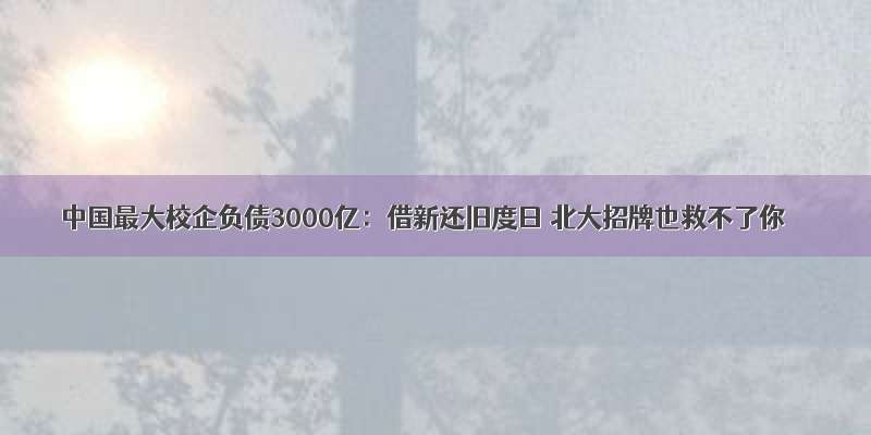 中国最大校企负债3000亿：借新还旧度日 北大招牌也救不了你