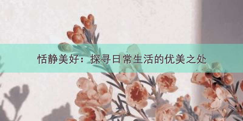 恬静美好：探寻日常生活的优美之处