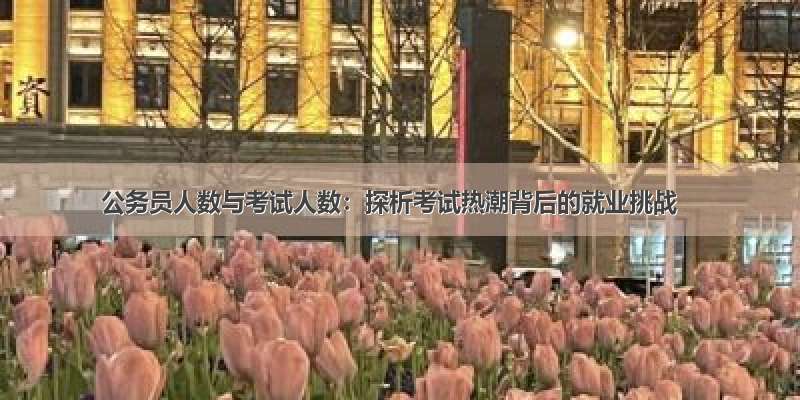 公务员人数与考试人数：探析考试热潮背后的就业挑战