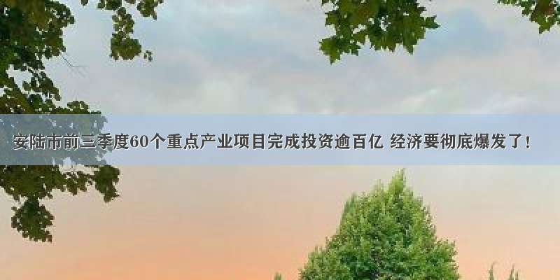 安陆市前三季度60个重点产业项目完成投资逾百亿 经济要彻底爆发了！