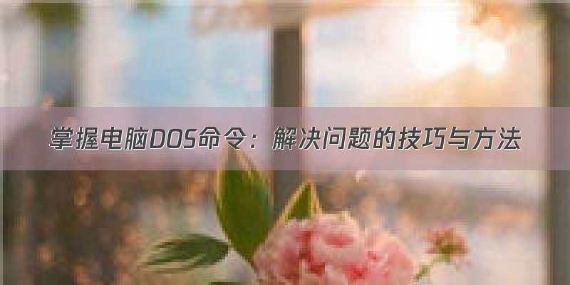 掌握电脑DOS命令：解决问题的技巧与方法