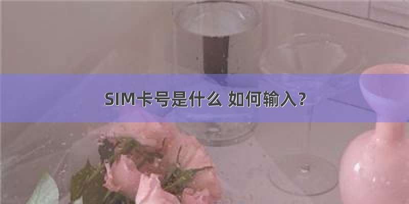 SIM卡号是什么 如何输入？