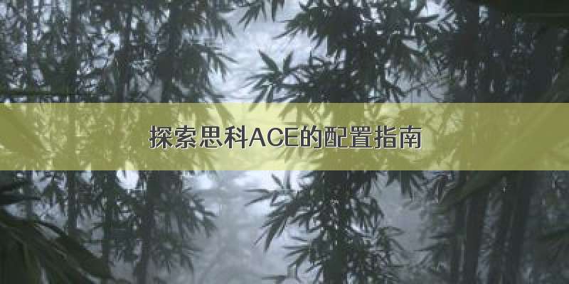 探索思科ACE的配置指南