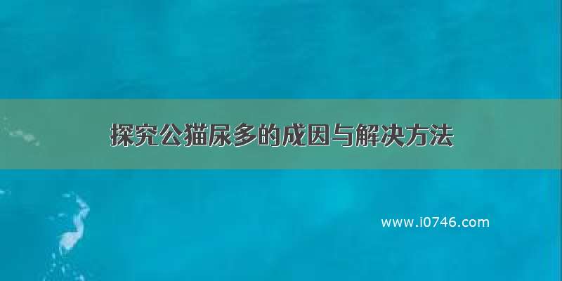 探究公猫尿多的成因与解决方法