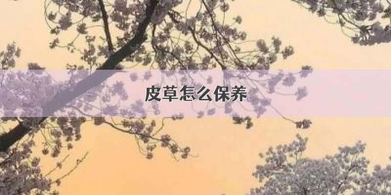 皮草怎么保养