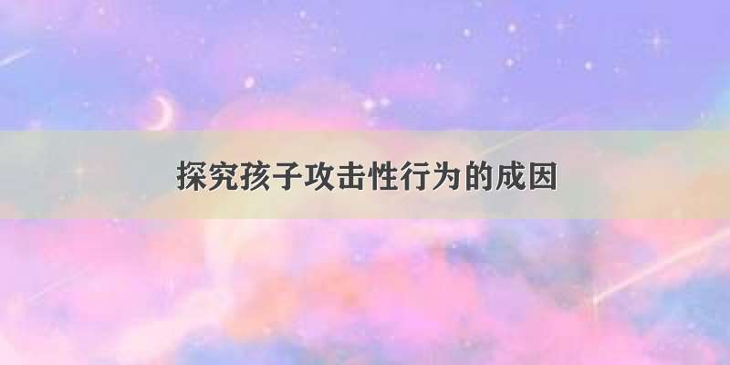 探究孩子攻击性行为的成因