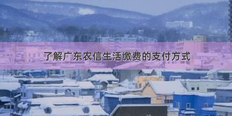 了解广东农信生活缴费的支付方式