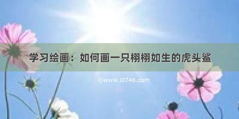 学习绘画：如何画一只栩栩如生的虎头鲨