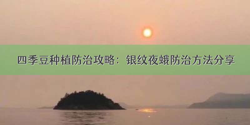 四季豆种植防治攻略：银纹夜蛾防治方法分享