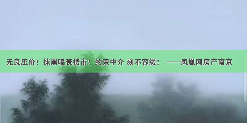 无良压价！抹黑唱衰楼市！约束中介 刻不容缓！ ——凤凰网房产南京