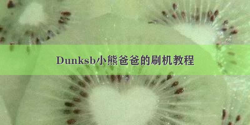 Dunksb小熊爸爸的刷机教程