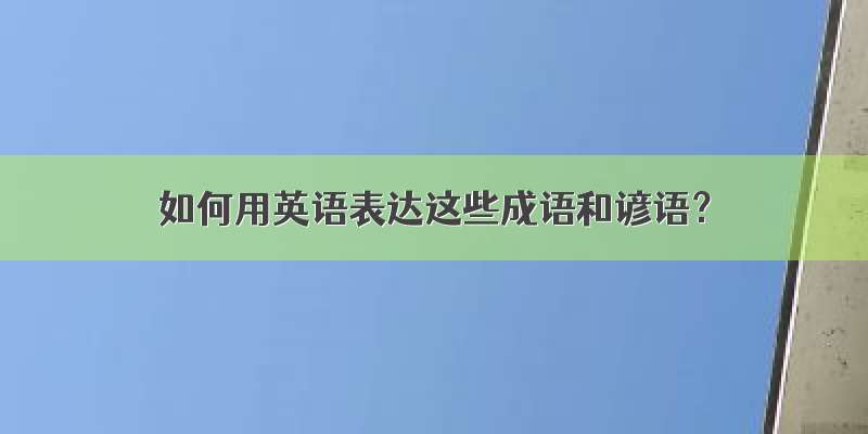 如何用英语表达这些成语和谚语？