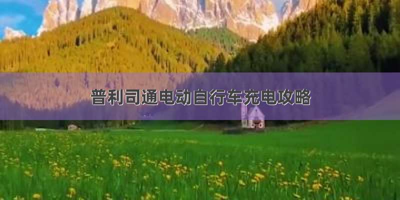 普利司通电动自行车充电攻略