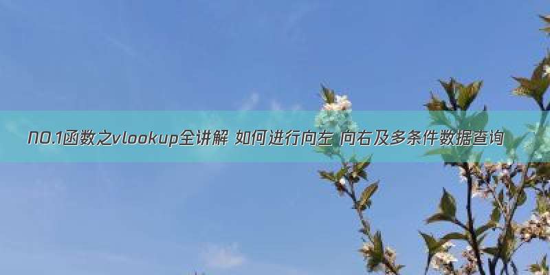 NO.1函数之vlookup全讲解 如何进行向左 向右及多条件数据查询