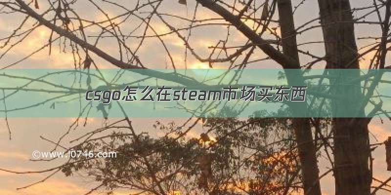 csgo怎么在steam市场买东西