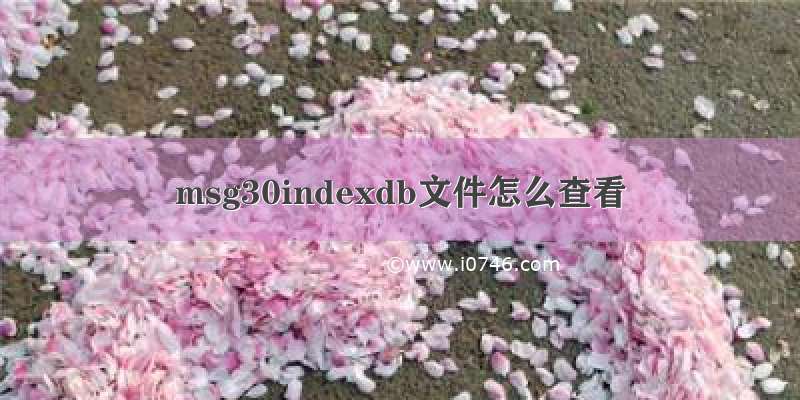 msg30indexdb文件怎么查看