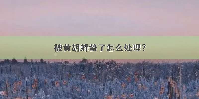 被黄胡蜂蛰了怎么处理？