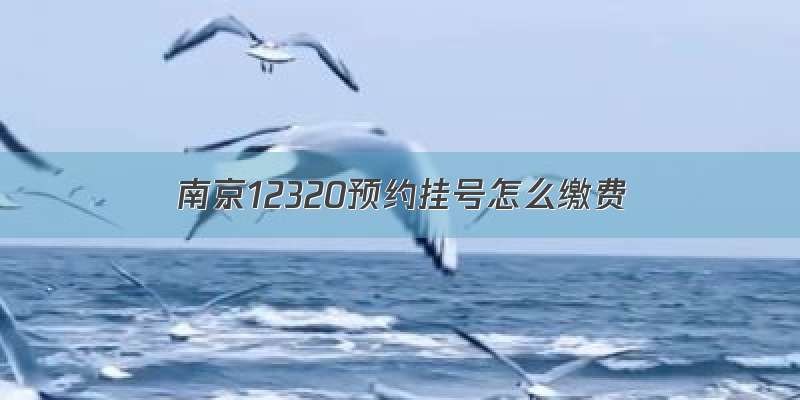 南京12320预约挂号怎么缴费