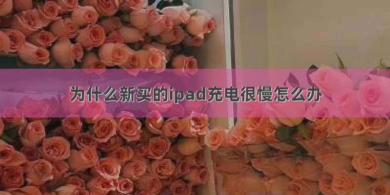 为什么新买的ipad充电很慢怎么办