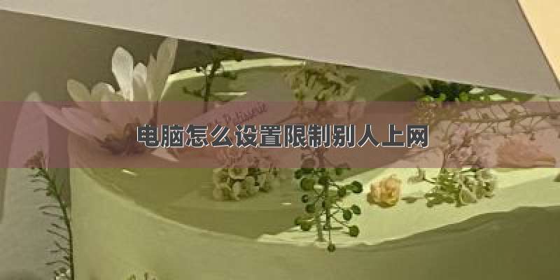 电脑怎么设置限制别人上网