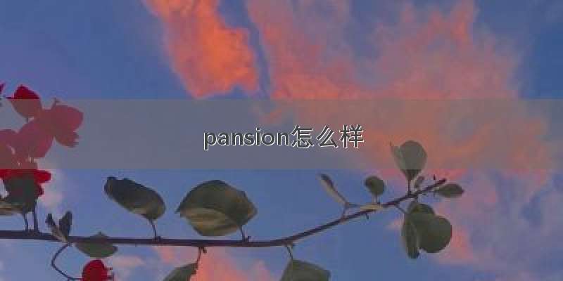 pansion怎么样