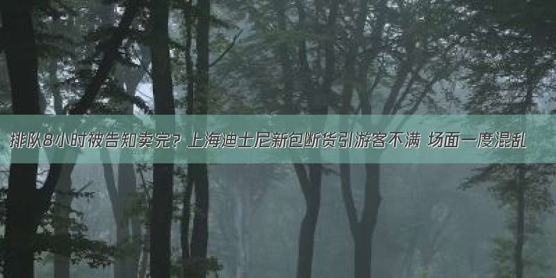 排队8小时被告知卖完？上海迪士尼新包断货引游客不满 场面一度混乱