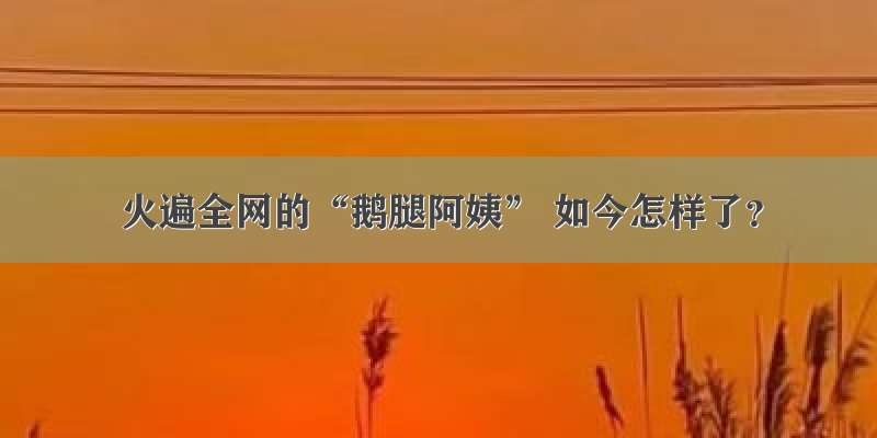 火遍全网的“鹅腿阿姨” 如今怎样了？