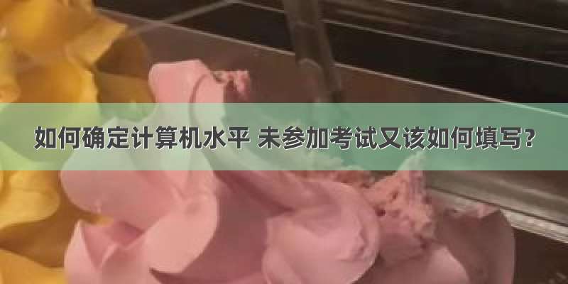 如何确定计算机水平 未参加考试又该如何填写？