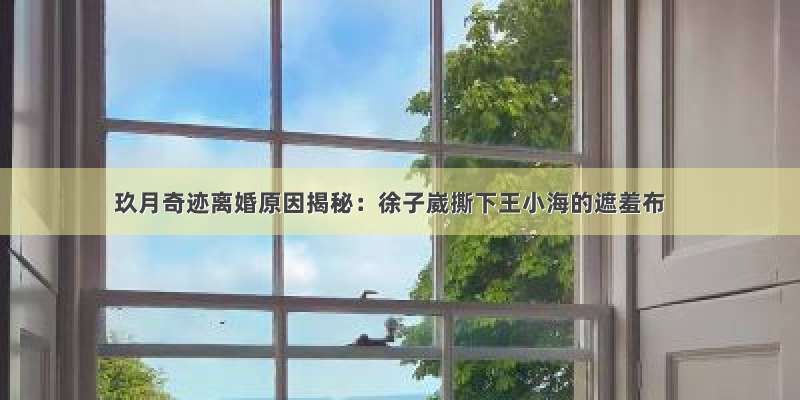 玖月奇迹离婚原因揭秘：徐子崴撕下王小海的遮羞布