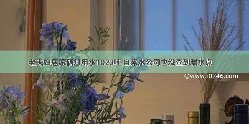 老夫妇居家俩月用水1023吨 自来水公司也没查到漏水点