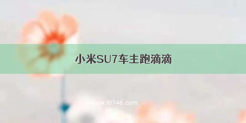 小米SU7车主跑滴滴