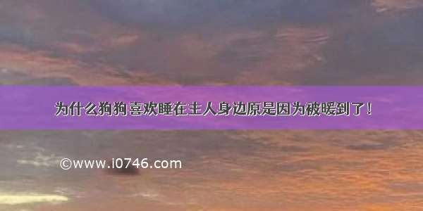 为什么狗狗喜欢睡在主人身边原是因为被暖到了！