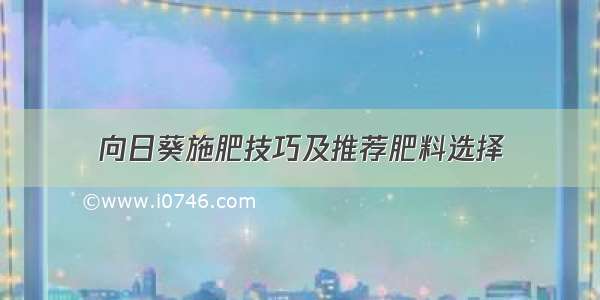 向日葵施肥技巧及推荐肥料选择