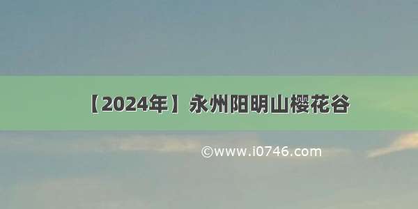 【2024年】永州阳明山樱花谷