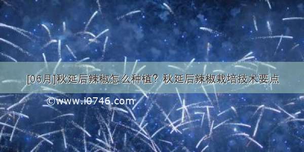 [06月]秋延后辣椒怎么种植？秋延后辣椒栽培技术要点